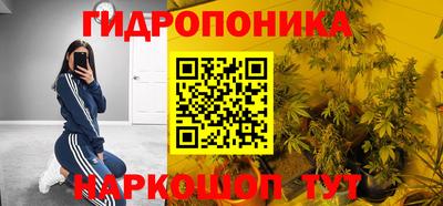 амф Заволжье