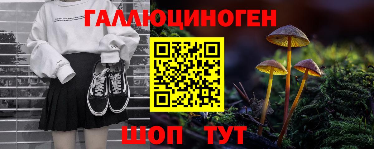 Галлюциногенные грибы MAGIC MUSHROOMS  Галлюциногенные грибы ЛСД  Шатура  Вход с VPN 